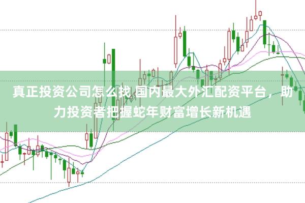 真正投资公司怎么找 国内最大外汇配资平台，助力投资者把握蛇年财富增长新机遇