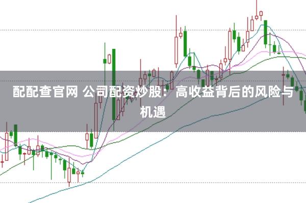 配配查官网 公司配资炒股：高收益背后的风险与机遇