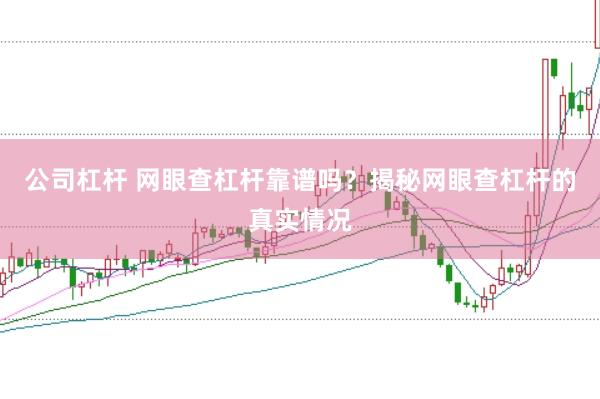 公司杠杆 网眼查杠杆靠谱吗？揭秘网眼查杠杆的真实情况