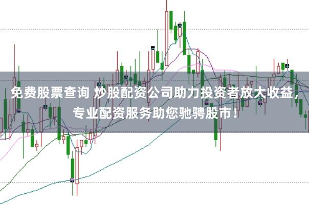 免费股票查询 炒股配资公司助力投资者放大收益，专业配资服务助您驰骋股市！