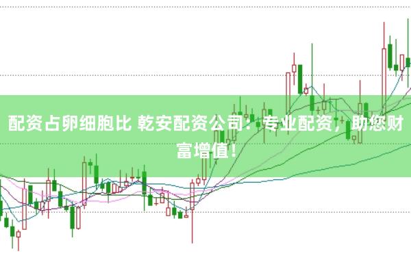配资占卵细胞比 乾安配资公司：专业配资，助您财富增值！