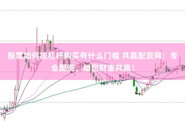 股票如何加杠杆购买有什么门槛 共赢配资网：专业配资，助您财富共赢！