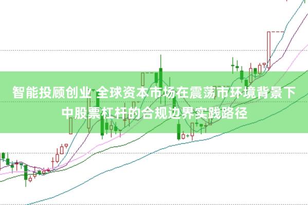 智能投顾创业 全球资本市场在震荡市环境背景下中股票杠杆的合规边界实践路径