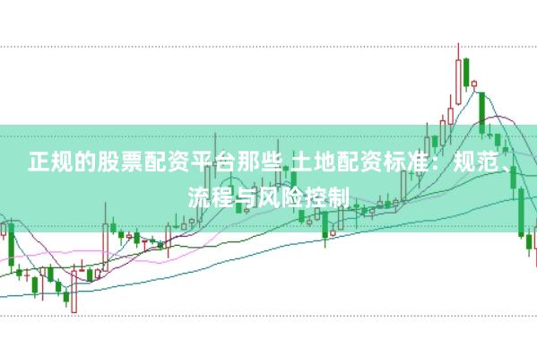 正规的股票配资平台那些 土地配资标准：规范、流程与风险控制