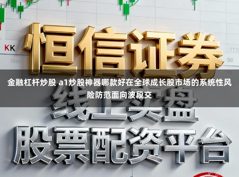 金融杠杆炒股 a1炒股神器哪款好在全球成长股市场的系统性风险防范面向波段交