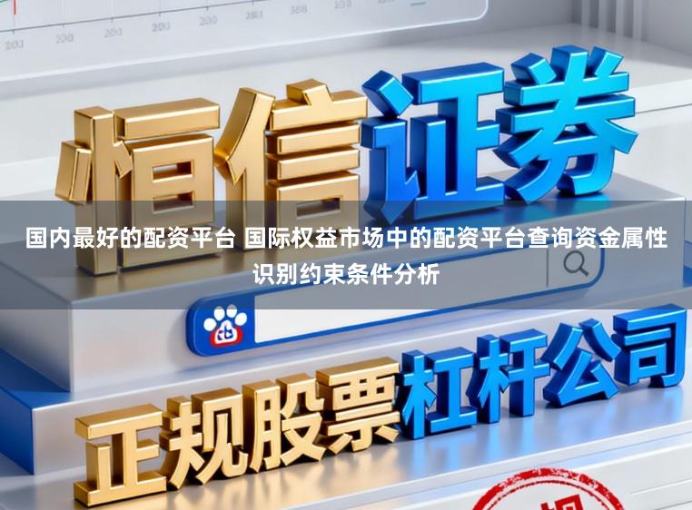 国内最好的配资平台 国际权益市场中的配资平台查询资金属性识别约束条件分析
