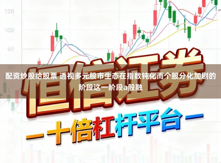 配资炒股给股票 透视多元股市生态在指数钝化而个股分化加剧的阶段这一阶段a股融